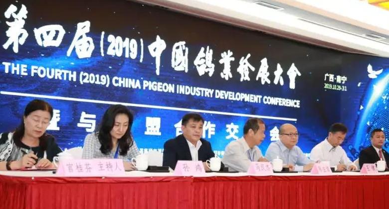 中国肉鸽产业发展的新特点