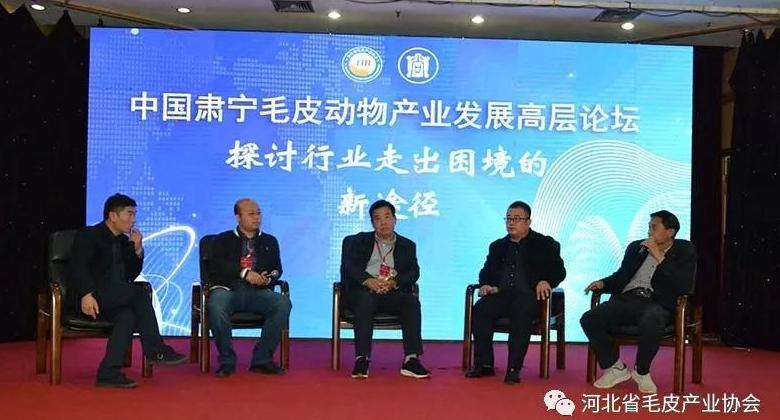 聚力发展 逆势前行:中国肃宁毛皮产业高层发展论坛嘉宾访谈(三)